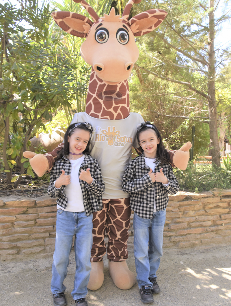 jirafa foto experiencias rio safari